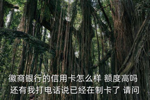 徽商銀行的信用卡怎么樣 額度高嗎 還有我打電話說已經(jīng)在制卡了 請問