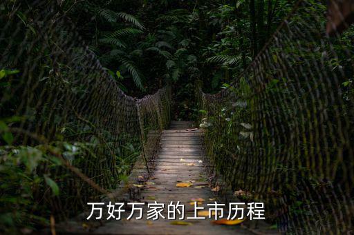 萬家萬好，萬好萬家的公司概況