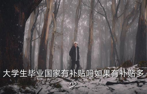 畢業(yè)生補貼，現在畢業(yè)的大學生有什么補助政策嗎