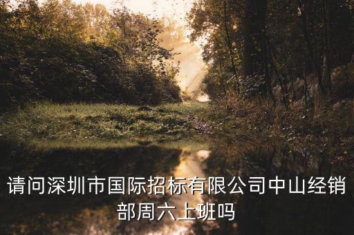 請問深圳市國際招標有限公司中山經(jīng)銷部周六上班嗎