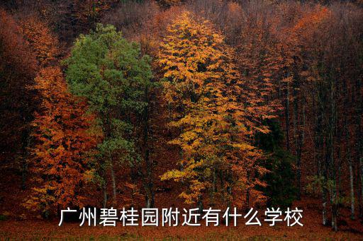 廣州碧桂園附近有什么學校