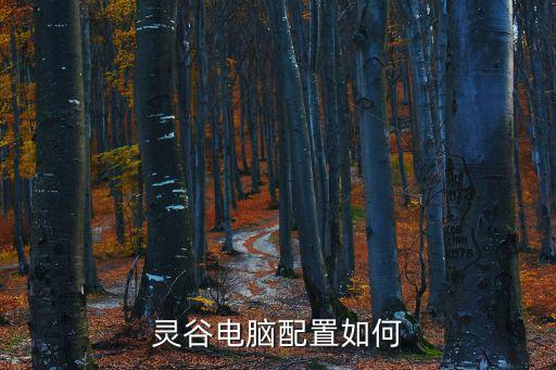 靈谷，靈谷電腦配置如何