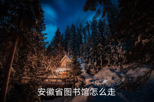 安徽省圖書館怎么走