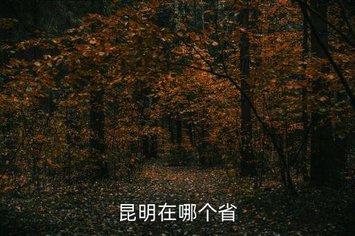 云南昆明，昆明屬于什么風險地區