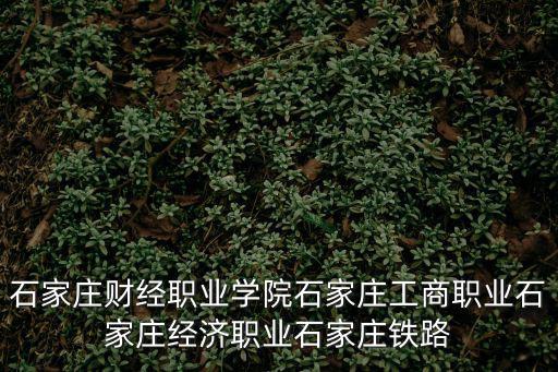 石家莊財經(jīng)職業(yè)學院石家莊工商職業(yè)石家莊經(jīng)濟職業(yè)石家莊鐵路