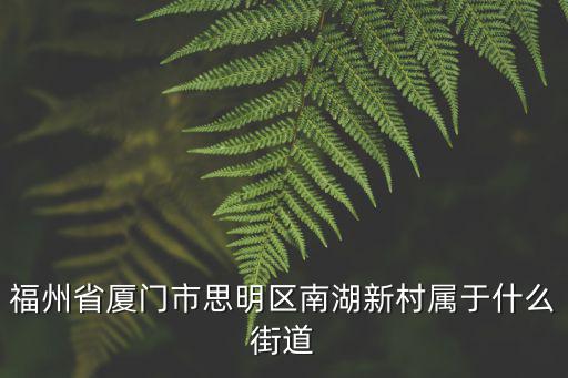 福州省廈門市思明區南湖新村屬于什么街道