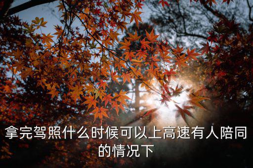 拿完駕照什么時候可以上高速有人陪同的情況下