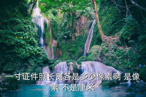 一寸證件照長(zhǎng)寬各是多少像素啊 是像素 不是厘米