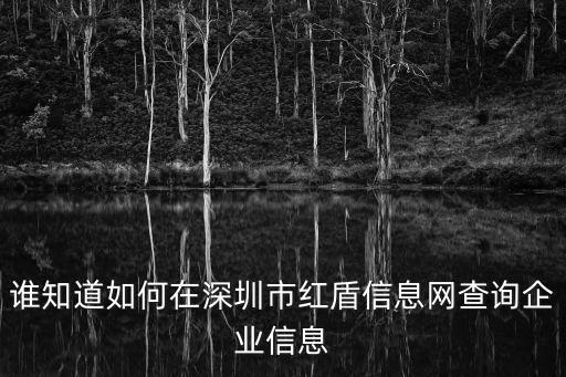 誰知道如何在深圳市紅盾信息網查詢企業信息