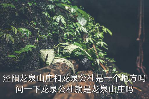 涇陽龍泉山莊和龍泉公社是一個(gè)地方嗎問一下龍泉公社就是龍泉山莊嗎