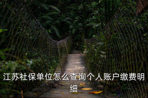 江蘇社保單位怎么查詢個人賬戶繳費明細
