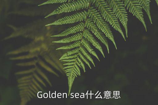 Golden sea什么意思
