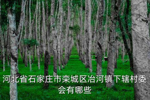 石家莊市欒城區，2022年欒城區蘇邱村征不了地搬不了遷是怎么回事