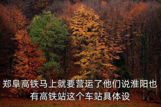 鄭阜高鐵馬上就要營運了他們說淮陽也有高鐵站這個車站具體設