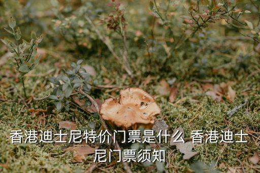 特價門票，特價門票不能退違法嗎