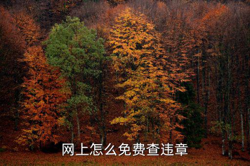 網(wǎng)上怎么免費查違章