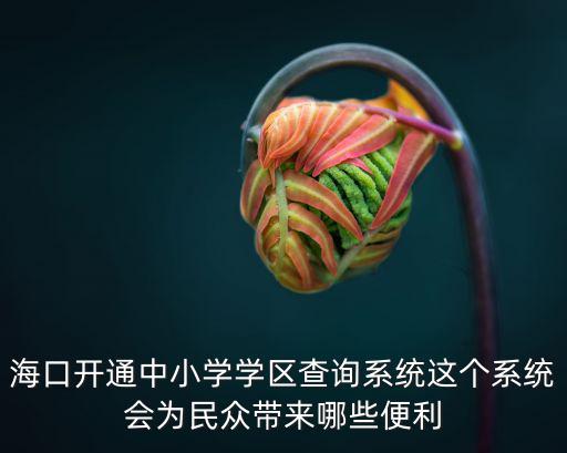 海口開通中小學學區查詢系統這個系統會為民眾帶來哪些便利