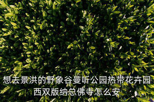 曼聽公園游玩攻略，云南西雙版納曼聽公園各個(gè)景點(diǎn)介紹