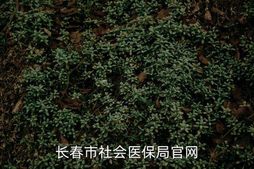 長春市社會醫(yī)保局官網(wǎng)