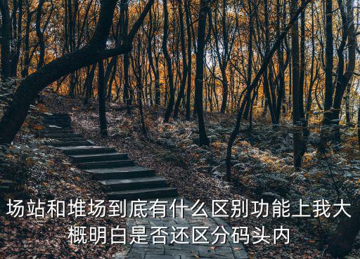 場站和堆場到底有什么區別功能上我大概明白是否還區分碼頭內