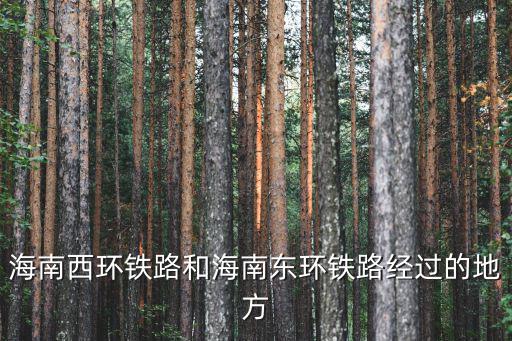 海南西環鐵路和海南東環鐵路經過的地方