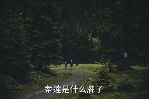 蒂蓮是什么牌子