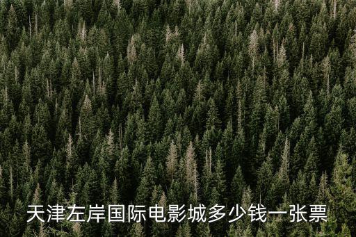 天津左岸國際電影城多少錢一張票