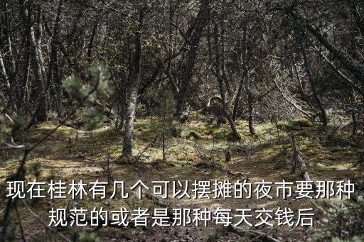 現在桂林有幾個可以擺攤的夜市要那種規范的或者是那種每天交錢后