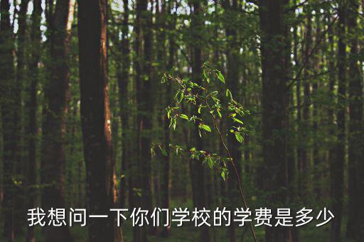 我想問一下你們學(xué)校的學(xué)費是多少