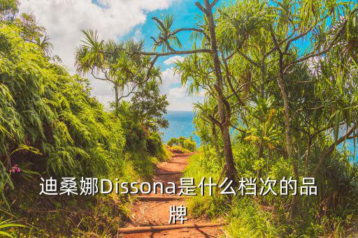 迪桑娜女包，威爾薩斯和迪桑娜那個高檔