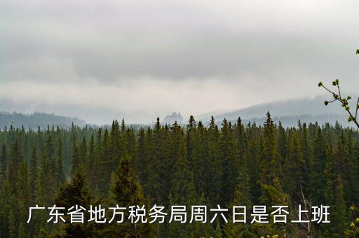 廣東省地方稅務局周六日是否上班