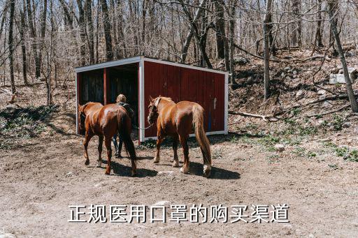 正規(guī)醫(yī)用口罩的購買渠道