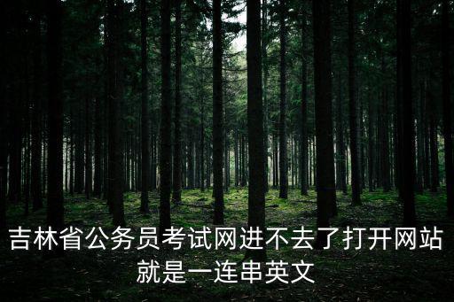 吉林省公務(wù)員考試網(wǎng)進不去了打開網(wǎng)站就是一連串英文