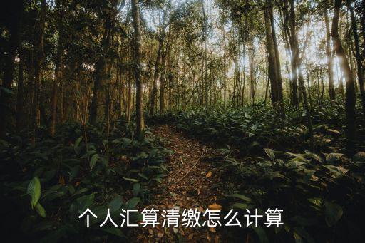 個人匯算清繳，個人匯算清繳怎么計算