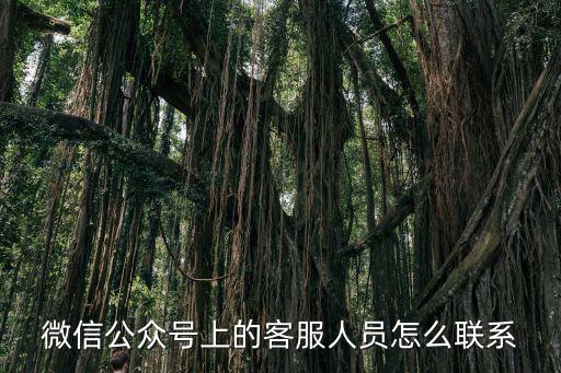 微信公眾號上的客服人員怎么聯系