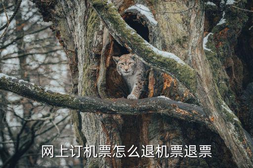 網上退票怎么退，網上訂機票怎么退機票退票