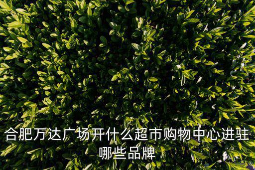 合肥萬達(dá)廣場(chǎng)開什么超市購物中心進(jìn)駐哪些品牌