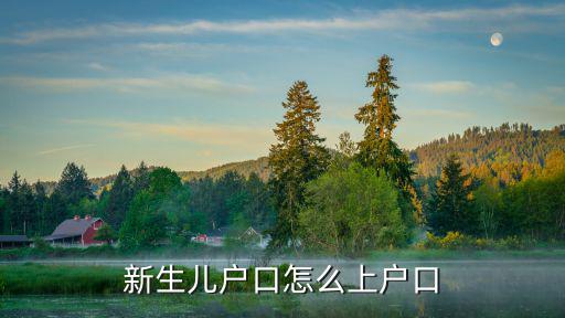 新生兒戶口登記，新生兒可以把戶口登記在外公外婆戶口上嗎母親戶口注銷了