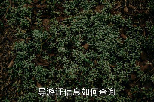 電子導游證查詢，怎么在網上查自己的導游證信息