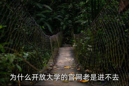 為什么開放大學的官網老是進不去