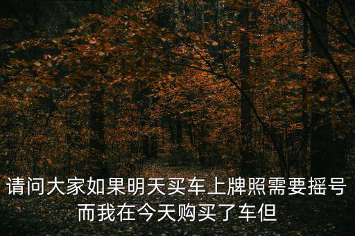 請(qǐng)問大家如果明天買車上牌照需要搖號(hào)而我在今天購買了車但