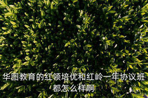 華圖教育的紅領培優和紅嶺一年協議班都怎么樣啊