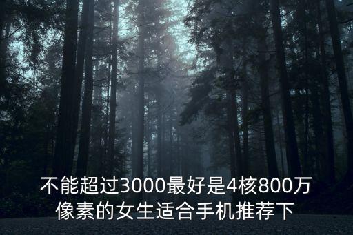 不能超過(guò)3000最好是4核800萬(wàn)像素的女生適合手機(jī)推薦下