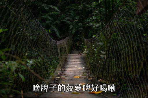 啥牌子的菠蘿啤好喝嘞