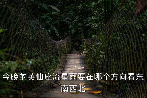 英仙座流星雨方位，今晚的英仙座流星雨要在哪個方向看東南西北