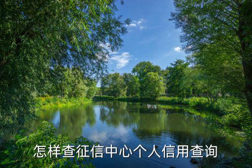 怎樣查征信中心個人信用查詢