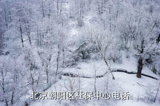 北京朝陽區社保中心電話