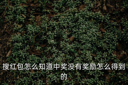 搜紅包怎么知道中獎沒有獎勵怎么得到的