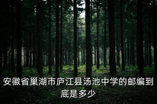 安徽省巢湖市廬江縣湯池中學的郵編到底是多少