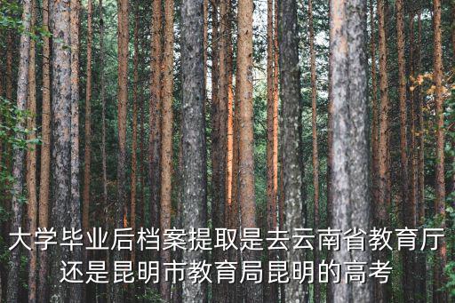 大學(xué)畢業(yè)后檔案提取是去云南省教育廳還是昆明市教育局昆明的高考